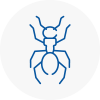 Ant Removals In Uttoxeter