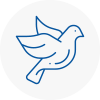 Bird Prevention Uttoxeter