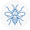 Uttoxeter Hornet Nest Removals