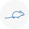 Mice Exterminators In Uttoxeter