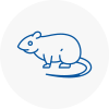 Rat Control Uttoxeter