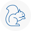 Uttoxeter Rodent Removals